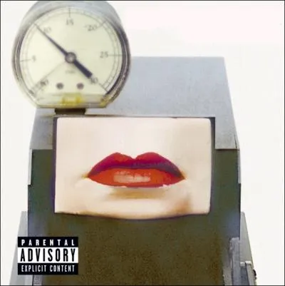 Quel artiste a fait ce disque ?