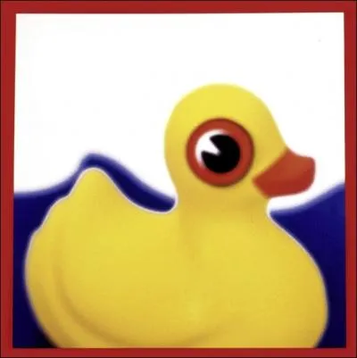 Quel artiste a fait ce disque ?