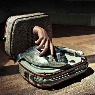 Quel artiste a fait ce disque ?