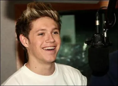 De qui Niall est-il fan ?