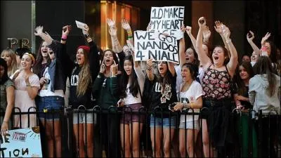 Comment s'appellent les fans des 1D ?