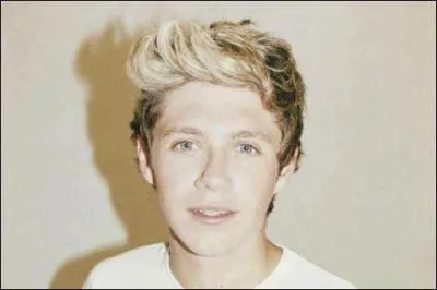 Qu'a chant Niall aux auditions d'X-Factor ?