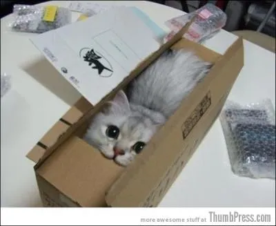 De ces trois verbes, l'un correspond  la situation !