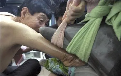 Quel animal sont en train de sauver ces hommes ?