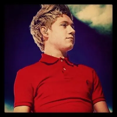 Qu'adore Niall ? 