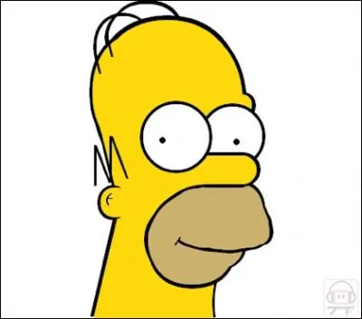 Combien de cheveux a Homer ?