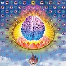 Connaissez-vous la signification de  LSD  ?