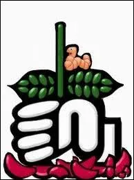 Connaissez-vous la signification de  PS  ?