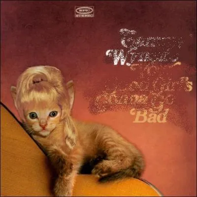 Trouvez le nom et l'interprte de cet album :