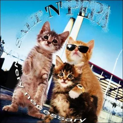 Trouvez le nom de cet album :