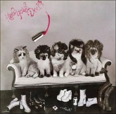 Trouvez l'interprte de cet album :