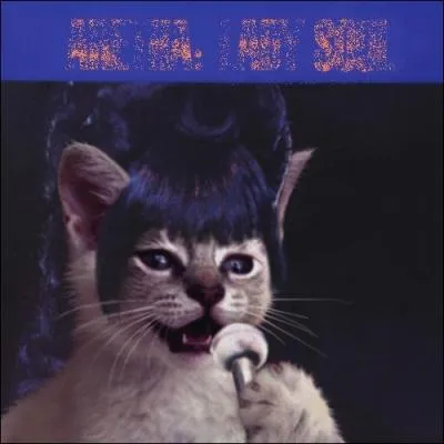 Trouvez l'interprte de cet album :