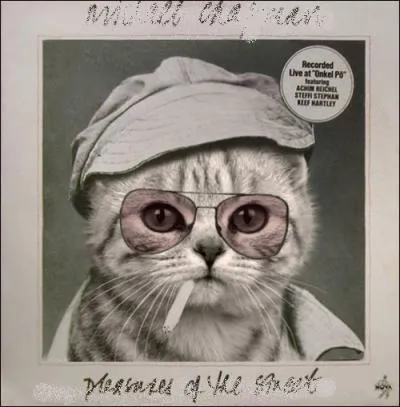 Trouvez le nom et l'interprte de cet album :