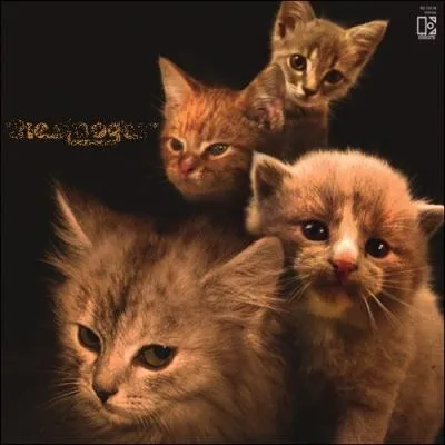 Trouvez le nom de cet album :