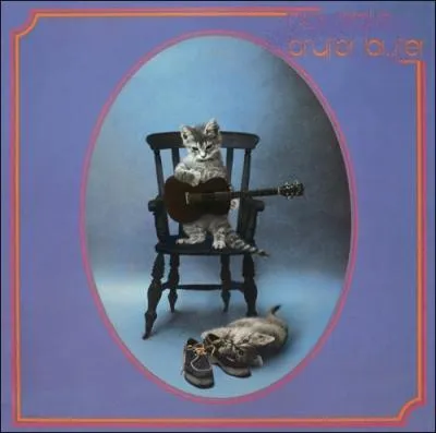 Trouvez le nom et l'interprte de cet album :