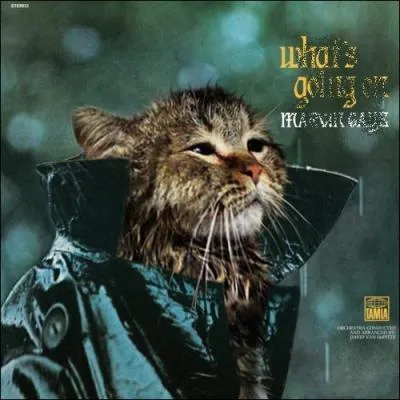 Trouvez le nom et l'interprte de cet album :