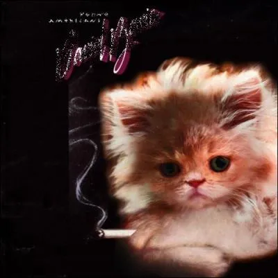 Trouvez le nom et l'interprte de cet album :