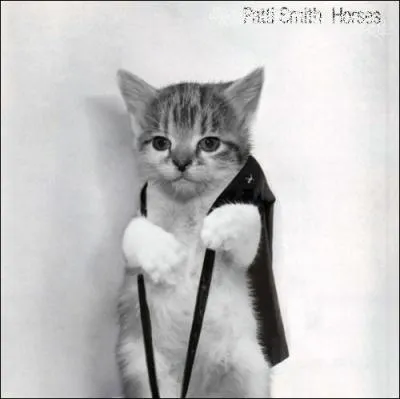 Trouvez le nom et l'interprte de cet album :