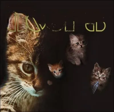 Trouvez l'interprte de cet album :