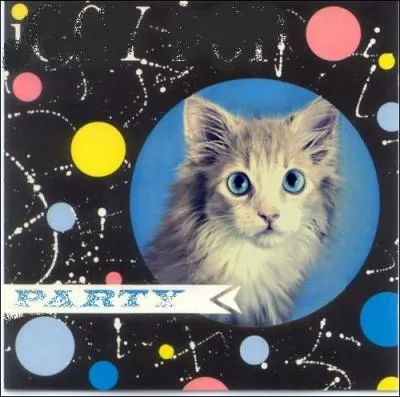 Trouvez le nom et l'interprte de cet album :