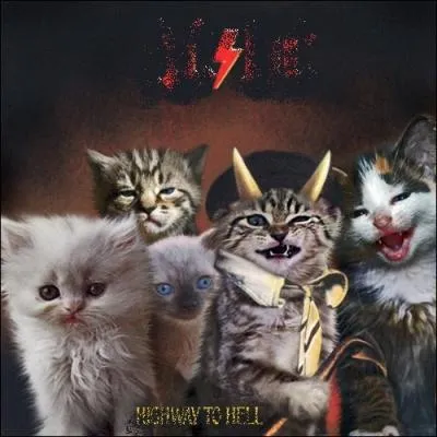 Trouvez le nom et l'interprte de cet album :