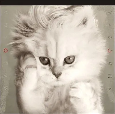 Trouvez l'interprte de cet album :