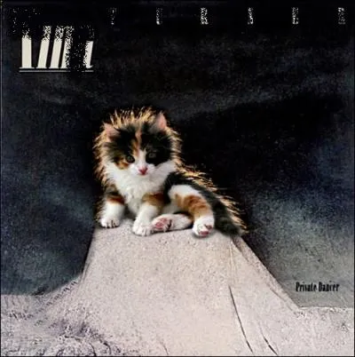 Trouvez l'interprte de cet album :