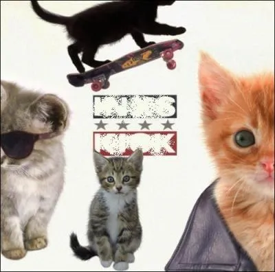 Trouvez le nom et l'interprte de cet album :