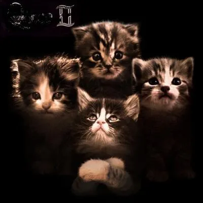 Trouvez le nom et l'interprte de cet album :