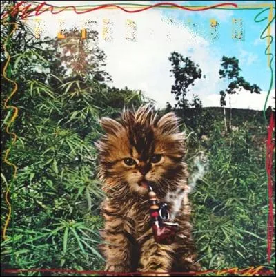 Trouvez le nom et l'interprte de cet album :