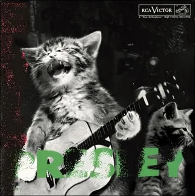 Trouvez l'interprte de cet album :