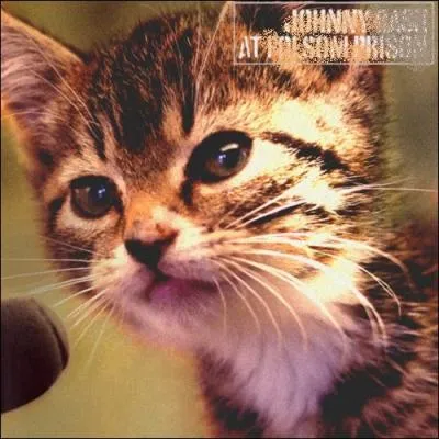 Trouvez le nom et l'interprte de cet album :