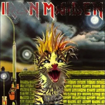 Trouvez l'interprte de cet album :