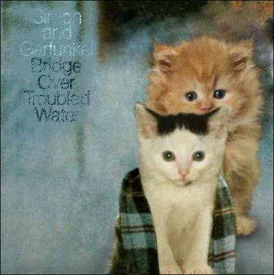 Trouvez le nom et l'interprte de cet album :