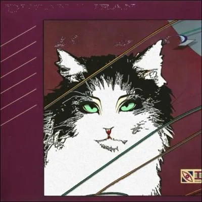 Trouvez le nom et l'interprte de cet album :