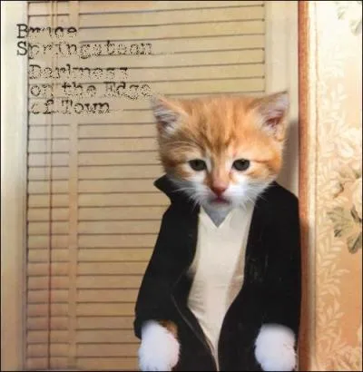 Trouvez le nom et l'interprte de cet album :