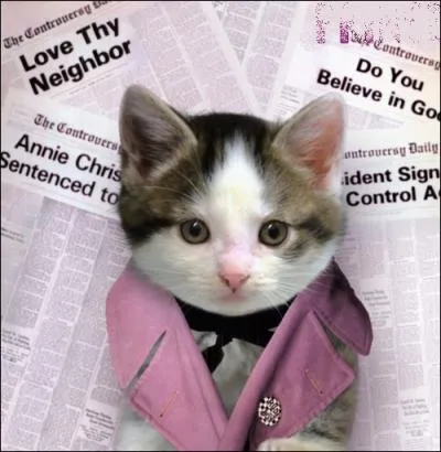 Trouvez le nom et l'interprte de cet album :