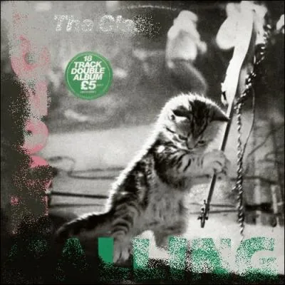 Trouvez le nom et l'interprte de cet album :