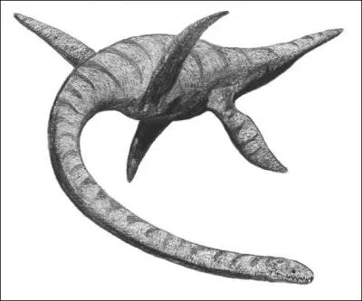 Le plsiosaurus tait un grand reptile :