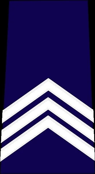 Dans la police nationale franaise,  quel grade porte t-on cette insigne ?