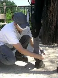 Comment poser des bandes de polo ?