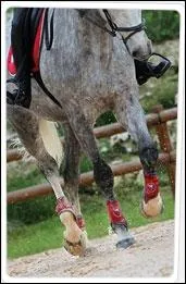 Quand les utiliser ?