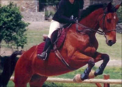 Comment doivent-elles tres ajustes ?