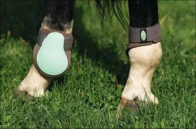 Pour quels membres les protge-boulets sont-ils utiliss ?