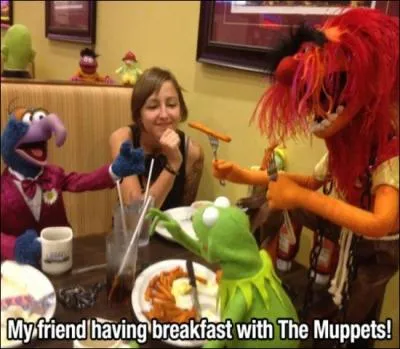 Dans cette photo, tire du Muppet show, il est en face de vous,  la droite de la jeune fille !