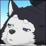 Quel est le numro du maillot de la mascotte de Seirin, un chien ?