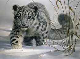 Quiz Animaux