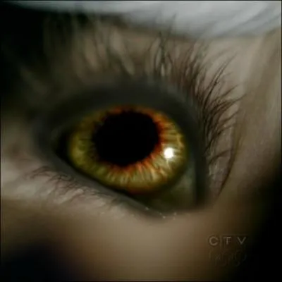 Qui avait cach la pierre de lune dans le plancher ?