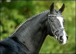 D'o vient le nom  Hanovrien  ?