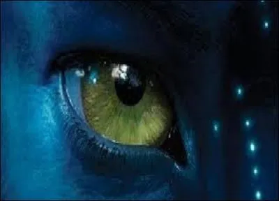 Qui a ralis le film  Avatar  en 2009 ?